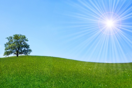 by aldorado10, as found on https://www.123rf.com/photo_19869928_lonely-tree-on-a-green-meadow-with-blue-cloudless-sky-and-shining-sun.html, retrieved on 07 Oct 2025 with image description ''Lonely tree on a green meadow with blue cloudless sky and shining sun.''